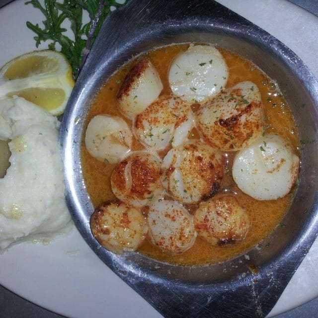 Sea Scallops.